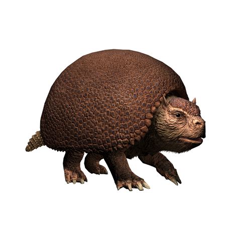 Glyptodon | Dinosaur Protection Group Wiki | Fandom