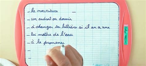 Les Besoins Des Animaux Cartes L Ducation