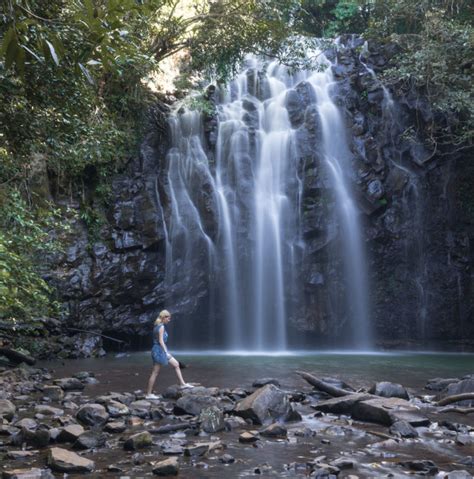 Tropical North Queensland Highlights Top 8 Things To Do And See