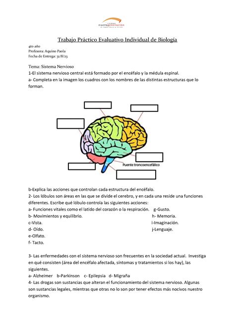 Tp sistema nervioso 4to año Trabajo Práctico Evaluativo Individual de