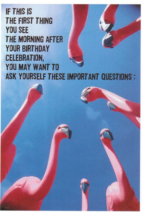 Morning After Flamingoes Flamingo Flamingo Happy Birthday Birthday