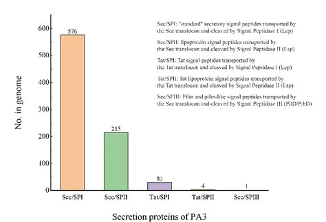 Figure 3 From Comparative Genomics And Dna Methylation Analysis Of Pseudomonas Aeruginosa