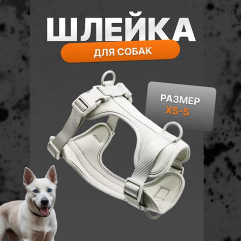 Шлейка для собак мелких пород - купить с доставкой по выгодным ценам в ...