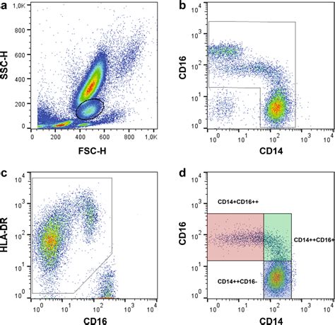 Positive Inclusion Gating Strategy Of Monocyte Subset Populations