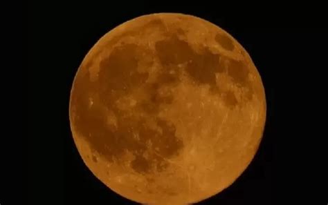 Supermoon Terdekat Dalam Sekitar Tahun Terakhir Akan Muncul Malam