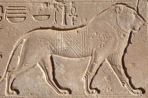 900+ Animals of Ancient Egypt ideas in 2021 | ancient egypt, egypt, ancient