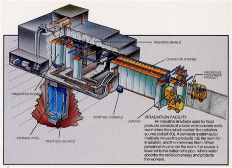 How does Food Irradiation work? | Center for Consumer Research 