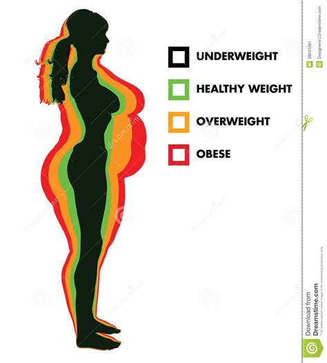 Body Mass Index Clip Art