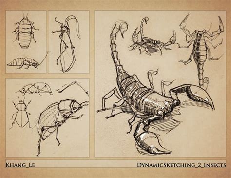 Dynamic Sketching Insects by elgnahk on DeviantArt