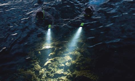 Hawaii Adventures: Night Snorkeling - Revealed Travel Guides