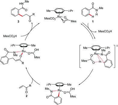 Carboxylate Assisted Ruthenium Ii Catalyzed Ch Activations Of