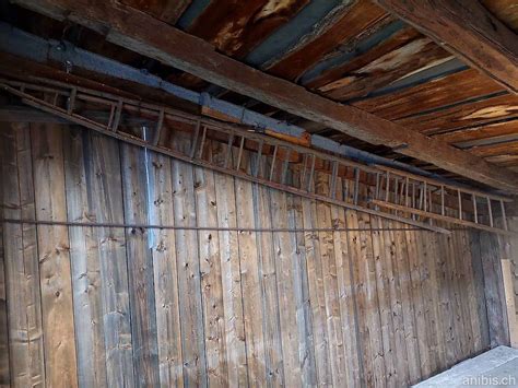 a vendre ancienne échelle en bois 3 50m Canton Valais anibis ch