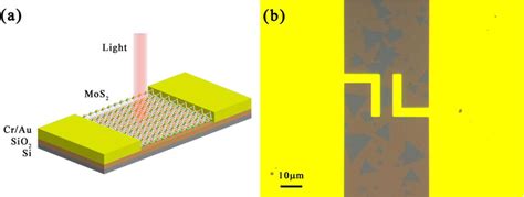 Color Online A Schematic Diagram Of The Monolayer Mos2