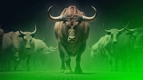 What Is A Bull Market Traderlion