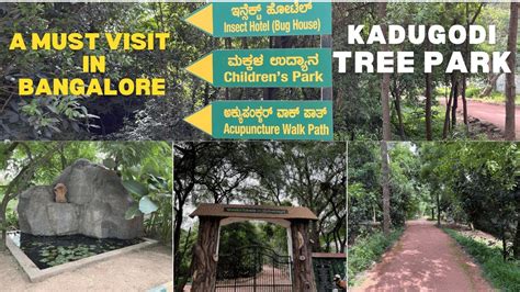 Kadugodi Tree Park Whitefield A Must Visit In Bangalore YouTube