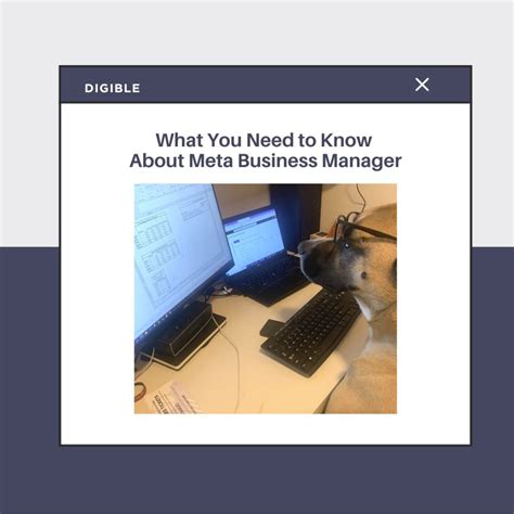 What You Need To Know About Meta Business Manager Digible