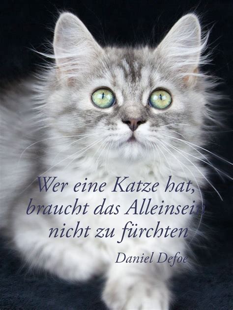 F R Alle Einsamen Herzen Katzen Zitate Katzen Lustige Spr Che