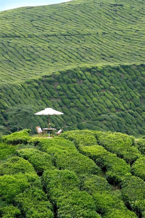 Cameron Highlands Resort Luxury Hotel In Pahang Malaysia Small