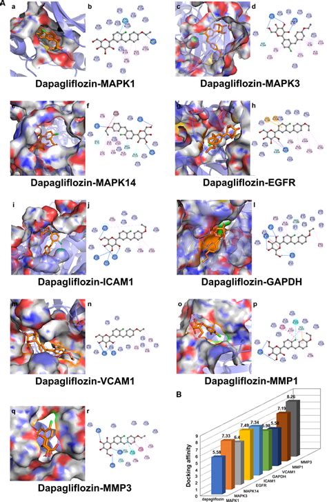 Molecular Docking Diagram A Nine Conformations Of Molecular Docking