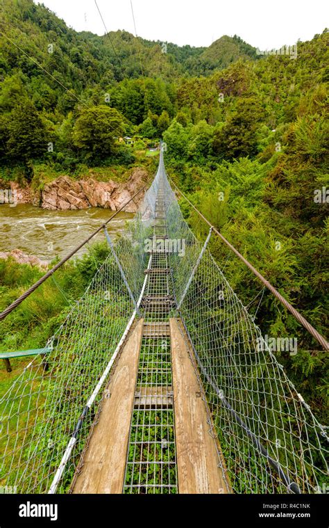 Buller Gorge Swing Bridge over Buller river, West Coast, South Island ...