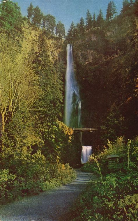 Vintage Postcard 1953 Multnomah Falls Largest Waterfalls Columbia Gorge