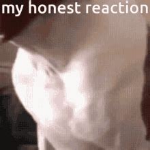 My Honest Reaction Meme My Honest Reaction To That Information GIF - My ...