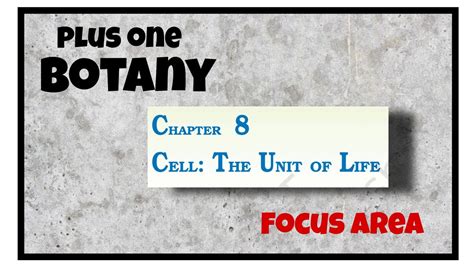 Plus One Botany Focus Area Chapter Cell The Unit Of Life Youtube