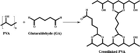 Chemical reaction of PVA polymer with glutaraldehyde catalyzed by HCl. | Download Scientific Diagram