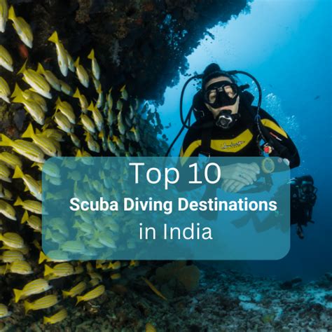 Top Scuba Diving Destinations In India You Must Visit Before The