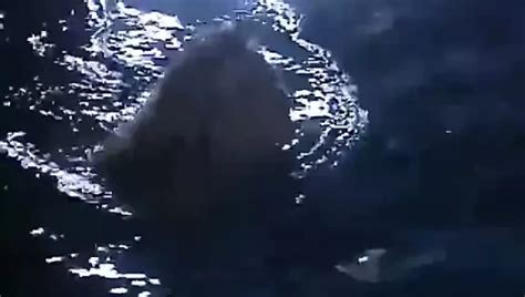 Danni And Shuana Lesbians Free Free Xnnxx Porn Video 40 XHamster