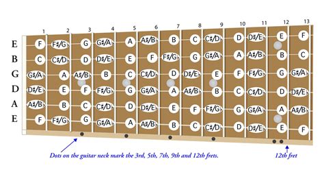 Guitar Notes for Beginners