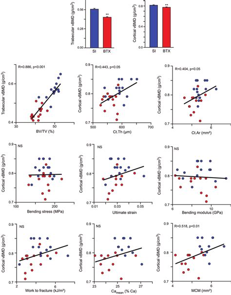 Bone Mineral Density Assessed By Microct And Correlation With Download Scientific Diagram