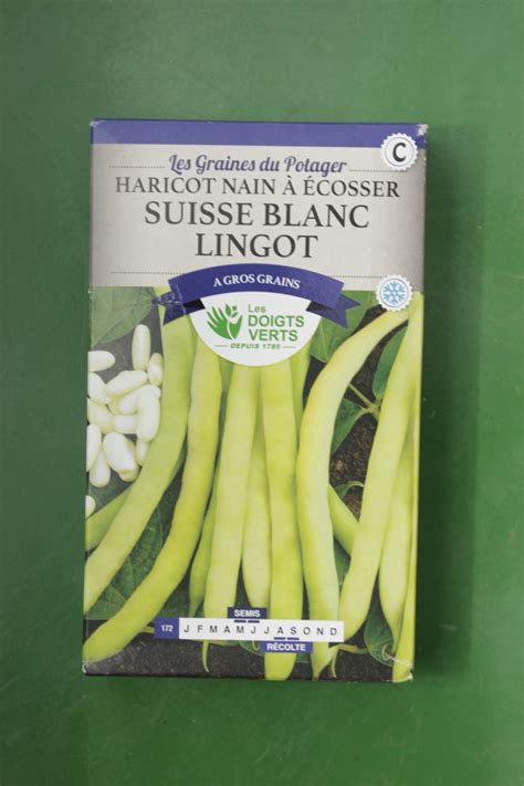 Graines Haricot Nain A Ecosser Suisse Blanc Lingot Doigts Verts