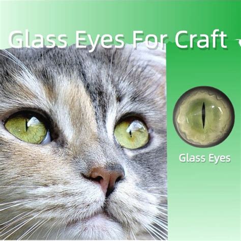 Realistic Animal Eyesrealistic Glass Eyesrealistic Eyes for - Etsy