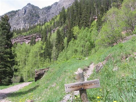 Four Corners Hikes-Telluride: Bear Creek Falls Trail