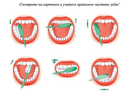 Алгоритм чистки зубов в детском саду в картинках