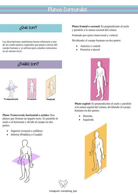 Planos corporales Doménica Soto uDocz