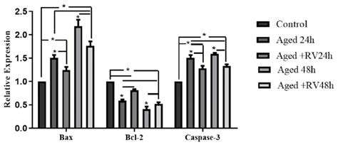 The Relative MRNA Expression Of Apoptosis Related Caspase 3 Bcl 2