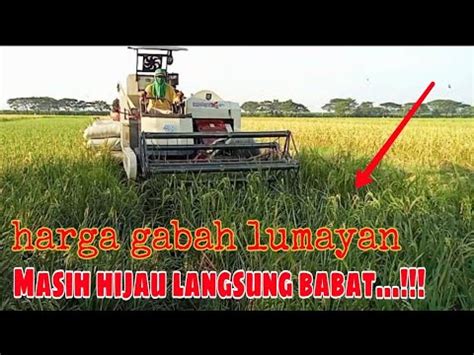 Combi MAXXI BIMO X2 0 L Potong Padi Musim Panen Tiba YouTube