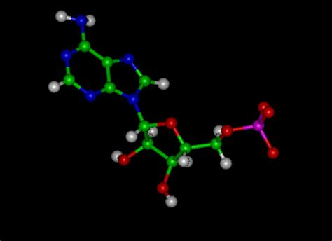 The AMP Molecule -Chemical and Physical Properties