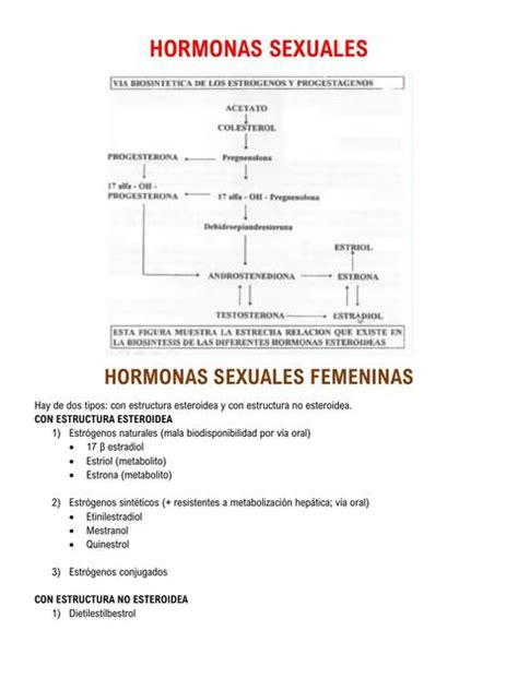 Hormonas Sexuales | Camila Arrieta | uDocz