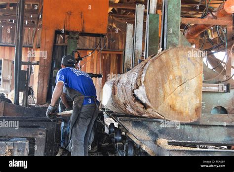 Los Trabajadores Cortando Madera En Aserradero Fotografía De Stock Alamy