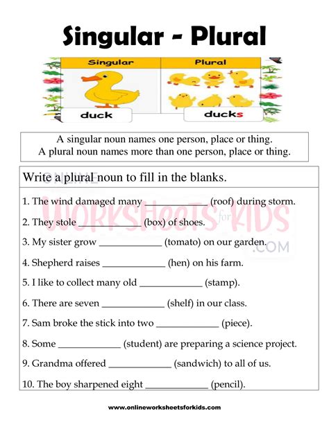 Singular And Plural Nouns Worksheet For Grade 4 Pdf Printable