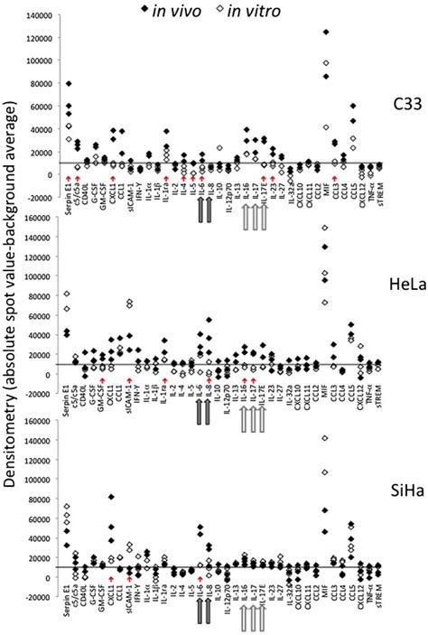 Cytokine Expression Profiles In In Vitro And In Vivo Cervical Cancer