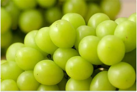 Cu Les Son Los Cinco Beneficios De Comer Uvas En Ayunas