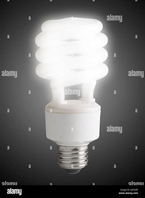 W Photography Compact Fluorescent Cfl