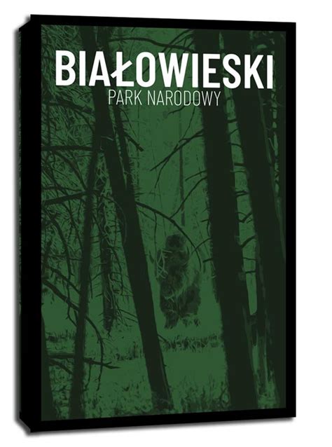 Obraz na płótnie GALERIA PLAKATU Parki Narodowe Bialowieża 30x40 cm