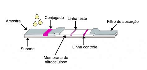 Labtest Diagnóstica Teste Rápido COVID 19 Ag Labtest Diagnóstica