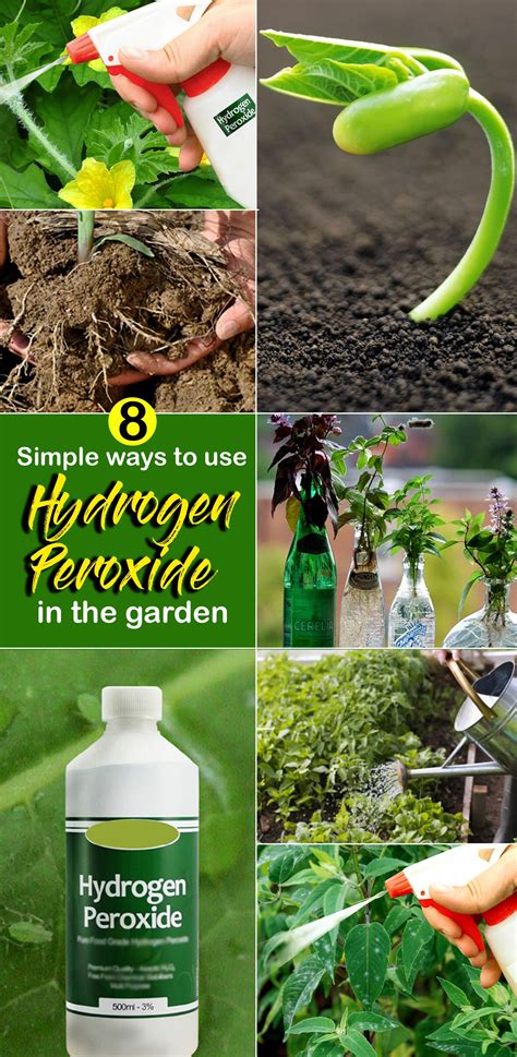 How To Use Hydrogen Peroxide In The Garden Hydrogen Peroxide