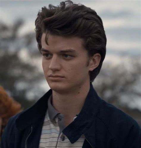 Top 198 + Steve harrington hair how to - polarrunningexpeditions